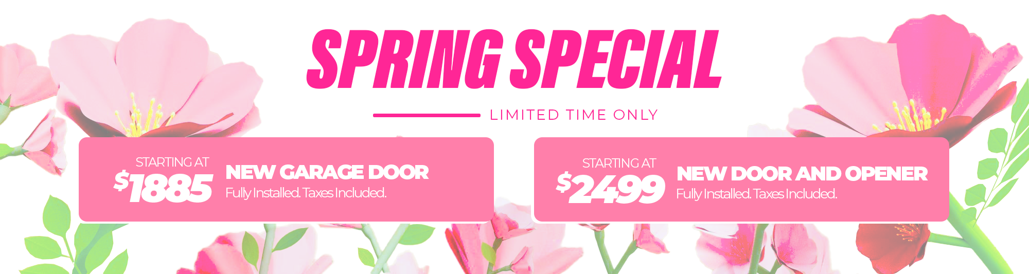 Spring Special Offers